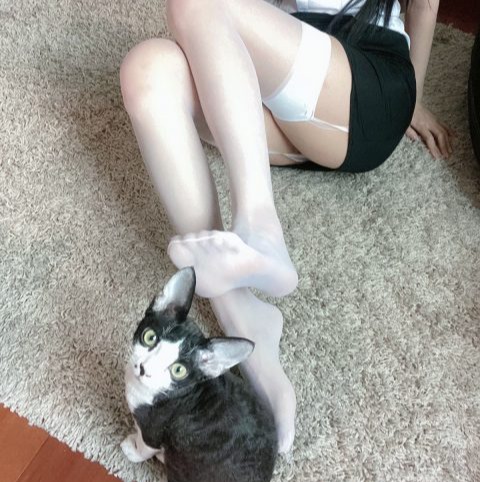 51酱 – 全套22期&随包视频[5.9G-2026.8]
