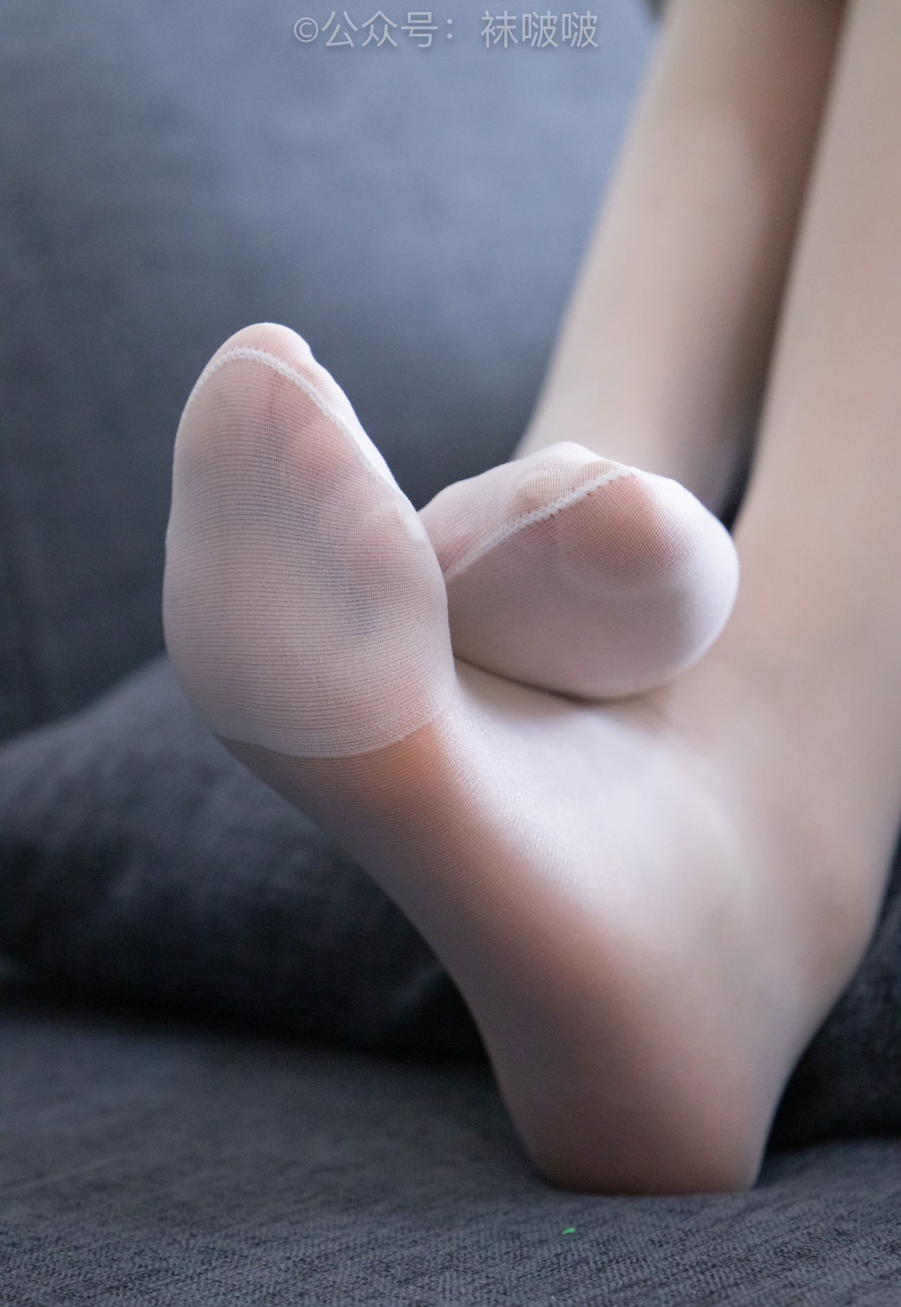 BoBoSocks袜啵啵 – 全套738期( 含4K视频)+限定积分[4724G-2026.8]